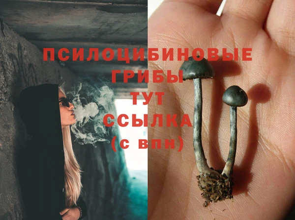 мяу мяу кристалл Богданович