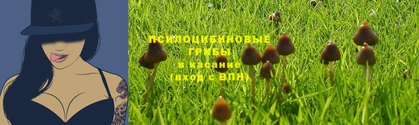 мяу мяу кристалл Богородицк